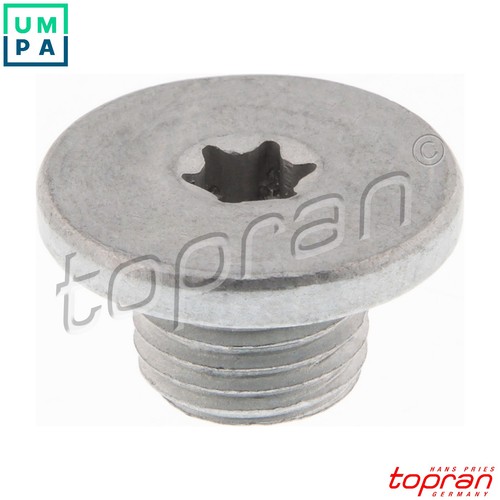 Screw plug oil - screw, 205