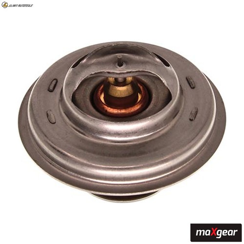 Thermostat coolant 0013 - coolant, for